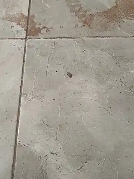 Poyraz6996 online show from February 5, 2:59 pm