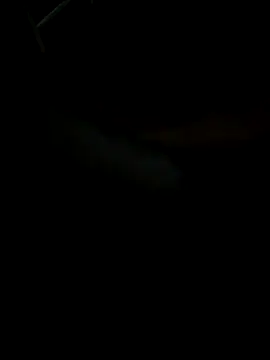 Pavan921 online show from October 10, 11:48 am