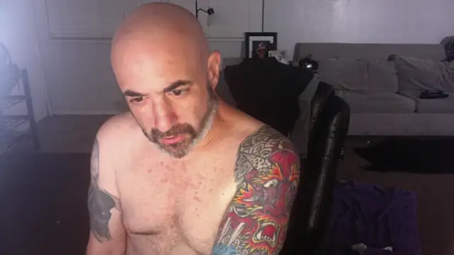 palidin1 online show from March 26, 6:28 am