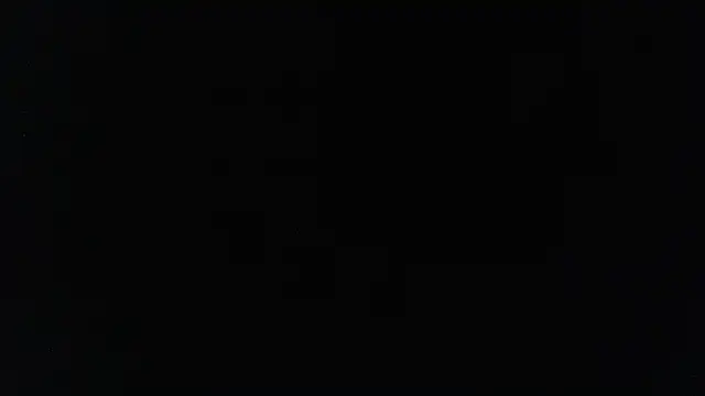 harry reems1 online show from January 12, 9:40 am