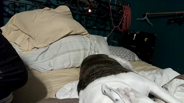 charactrzero online show from March 1, 4:12 am