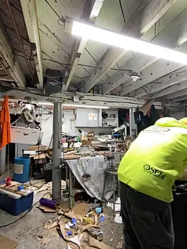 charactrzero online show from January 4, 5:47 pm