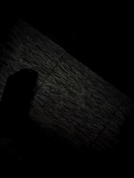 tamil202 online show from November 30, 1:29 am