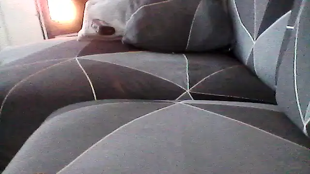 mickzizi online show from November 25, 10:28 am