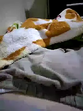 shiiank online show from May 27, 3:14 am
