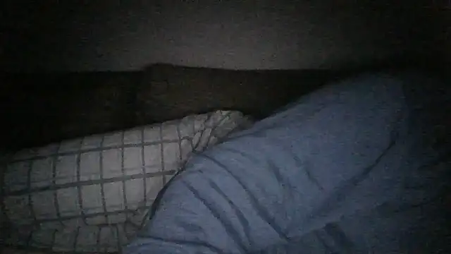 Snapshot of Anderrust chatting on December 6, 11:47 pm Anderrust online show from December 6, 11:47 pm