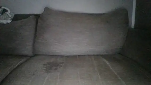 Snapshot of Anderrust chatting on February 1, 10:59 am Anderrust online show from February 1, 10:59 am