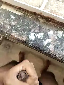 hOrnybOy 369 online show from February 19, 10:45 am