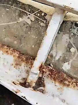 hOrnybOy 369 online show from December 15, 9:56 am