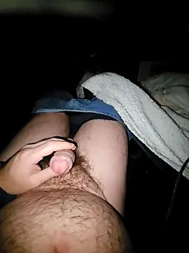 Snapshot of thefox92 chatting on February 4, 12:40 am thefox92 online show from February 4, 12:40 am