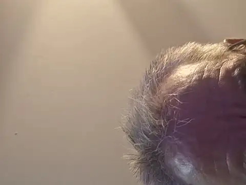 highstepper500 online show from September 19, 10:48 am