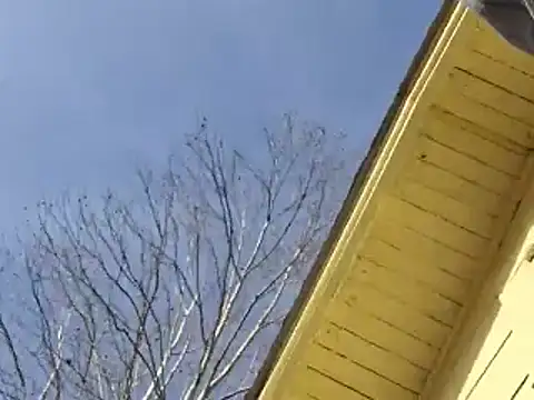 highstepper500 online show from December 25, 9:11 pm