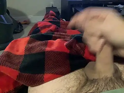 northcock87 online show from December 19, 2:56 am