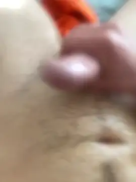 Pascutt online show from December 15, 12:35 pm