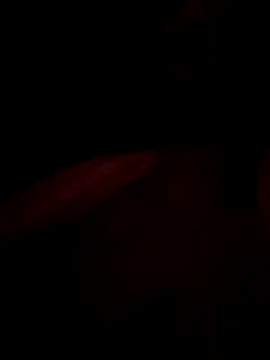 SLhigmama online show from January 28, 6:07 pm