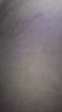 SLhigmama online show from January 29, 5:45 pm