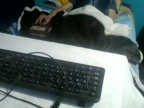 malekon76 online show from September 26, 10:35 am