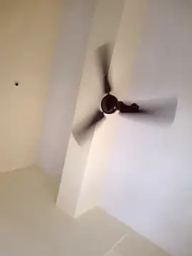 Mallupaiyanaachu online show from December 15, 4:53 am