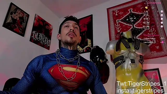 TigerStripes1  online show from March 21, 7:23 am