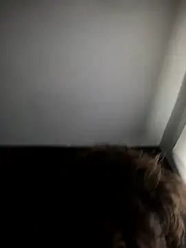 kvr27 online show from November 3, 7:59 pm